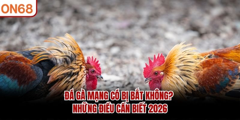 đá gà mạng có bị bắt không